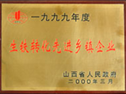生铁转化先进乡镇企业